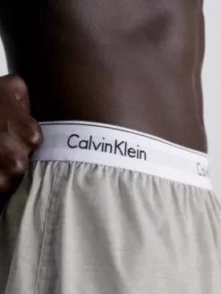 Calvin Klein Lot De 2 Caleçons Slim Fit - Modern Cotton -Pas Cher Calvin Klein Magasin 000NB1396A BHY alternate3