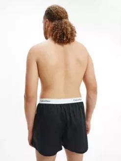 Calvin Klein Lot De 2 Caleçons Slim Fit - Modern Cotton -Pas Cher Calvin Klein Magasin 000NB1396A BHY alternate6