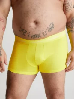 Calvin Klein Lot De 5 Boxers Taille Basse Grande Taille - Pride -Pas Cher Calvin Klein Magasin 000NB3181A BNG alternate4