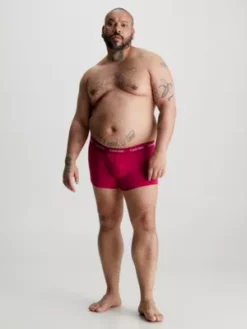 Calvin Klein Lot De 5 Boxers Taille Basse Grande Taille - Pride -Pas Cher Calvin Klein Magasin 000NB3181A BNG alternate5