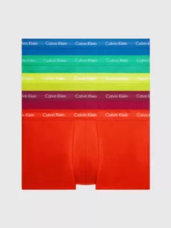 Calvin Klein Lot De 5 Boxers Taille Basse Grande Taille - Pride