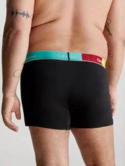 Calvin Klein Boxer Grande Taille - Pride -Pas Cher Calvin Klein Magasin 000NB3520A BTL alternate2