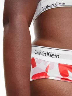 Calvin Klein Culotte Grande Taille - Modern V-Day -Pas Cher Calvin Klein Magasin 000QF7043E BBG alternate3