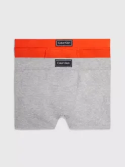 Calvin Klein Lot De 2 Shortys Pour Garçon - Modern Cotton