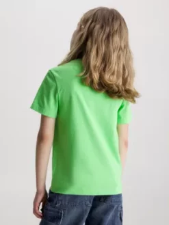 Calvin Klein Lot De 2 T-shirts En Coton -Pas Cher Calvin Klein Magasin IB0IB01093 0LG alternate3