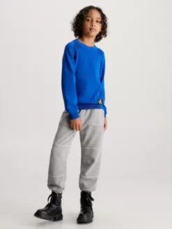 Calvin Klein Pull Bicolore 10 Calvin Klein Pull Bicolore -Pas Cher Calvin Klein Magasin IB0IB01868 C6X alternate3