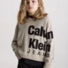 Calvin Klein Pull Relaxed Avec Logo 1 Calvin Klein Pull Relaxed Avec Logo -Pas Cher Calvin Klein Magasin IB0IB01874 PED main