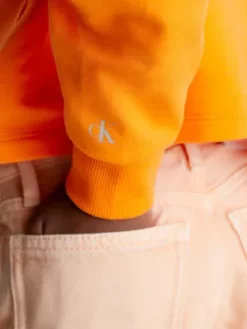 Calvin Klein Sweat-shirt à Capuche Avec Superpositions Dans Le Dos -Pas Cher Calvin Klein Magasin IG0IG01931 SCB alternate2