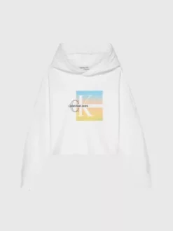 Calvin Klein Sweat à Capuche Boxy Avec Motif à Logo -Pas Cher Calvin Klein Magasin IG0IG02022 YAF alternate4