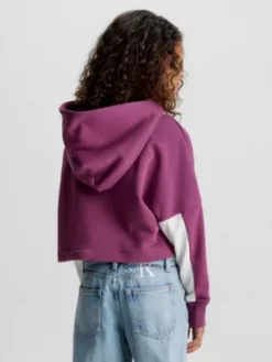 Calvin Klein Sweat-shirt à Capuche Boxy Color-block Avec Logo -Pas Cher Calvin Klein Magasin IG0IG02212 VAC alternate1