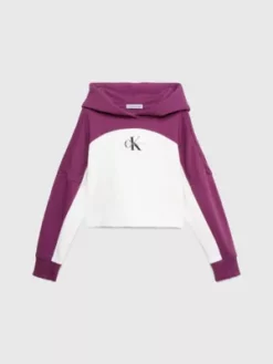 Calvin Klein Sweat-shirt à Capuche Boxy Color-block Avec Logo -Pas Cher Calvin Klein Magasin IG0IG02212 VAC alternate4