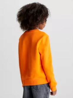 Calvin Klein Sweat Avec Logo Pour Enfant 13 Calvin Klein Sweat Avec Logo Pour Enfant -Pas Cher Calvin Klein Magasin IU0IU00265 SCB alternate3
