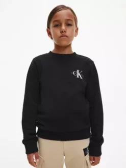 Calvin Klein Sweat Unisexe -Pas Cher Calvin Klein Magasin IU0IU00397 BEH alternate2