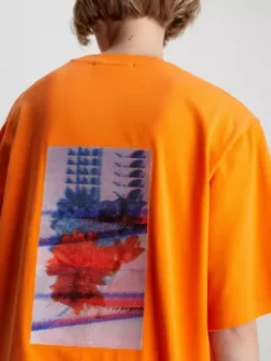 Calvin Klein Robe T-shirt Brodée -Pas Cher Calvin Klein Magasin J20J220755 SCB alternate4