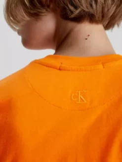 Calvin Klein T-shirt Boyfriend -Pas Cher Calvin Klein Magasin J20J220768 SCB alternate3