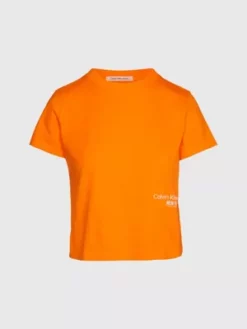 Calvin Klein T-shirt Court Avec Logo -Pas Cher Calvin Klein Magasin J20J221047 SCB alternate5