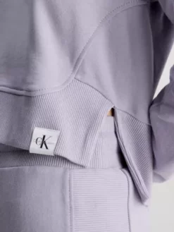 Calvin Klein Sweat à Capuche Relaxed Court 11 Calvin Klein Sweat à Capuche Relaxed Court -Pas Cher Calvin Klein Magasin J20J221341 PC1 alternate3