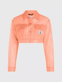 Calvin Klein Veste Courte En Nylon Froissé Transparent 11 Calvin Klein Veste Courte En Nylon Froissé Transparent -Pas Cher Calvin Klein Magasin J20J221593 SDD alternate4