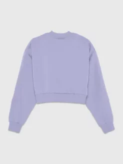 Calvin Klein Sweat Court Avec Monogramme -Pas Cher Calvin Klein Magasin J20J222121 VXN alternate6