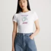 Calvin Klein T-shirt Slim En Coton Avec Logo 2 Calvin Klein T-shirt Slim En Coton Avec Logo -Pas Cher Calvin Klein Magasin J20J222345 YAF main