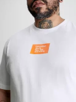 Calvin Klein T-shirt Grande Taille Avec Insigne -Pas Cher Calvin Klein Magasin J30J323287 YAF alternate2