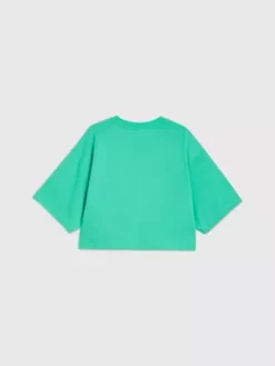 Calvin Klein T-shirt Court Oversize - Pride -Pas Cher Calvin Klein Magasin J30J323605 LAY alternate7