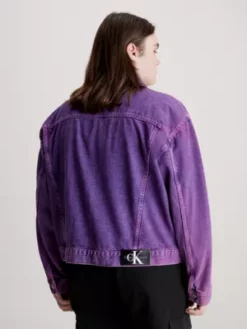 Calvin Klein Veste En Jean Boxy Unisexe 13 Calvin Klein Veste En Jean Boxy Unisexe -Pas Cher Calvin Klein Magasin J40J400328 1A4 alternate3