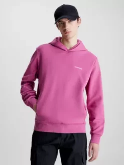 Calvin Klein Sweat-shirt à Capuche Avec Micro-logo