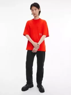 Calvin Klein T-shirt Unisexe Imprimé - CK Standards 13 Calvin Klein T-shirt Unisexe Imprimé - CK Standards -Pas Cher Calvin Klein Magasin K10K111322 XNS alternate2