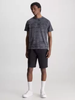 Calvin Klein T-shirt Imprimé Concrete -Pas Cher Calvin Klein Magasin K10K111551 0IN alternate3