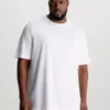 Calvin Klein T-shirt Relaxed Grande Taille -Pas Cher Calvin Klein Magasin K10K111692 YAF main