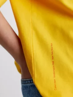 Calvin Klein T-shirt Relaxed Unisexe Imprimé - CK Standards -Pas Cher Calvin Klein Magasin K10K112026 ZCM alternate4