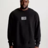 Calvin Klein Sweat Grande Taille Avec Logo -Pas Cher Calvin Klein Magasin K10K112184 BEH main